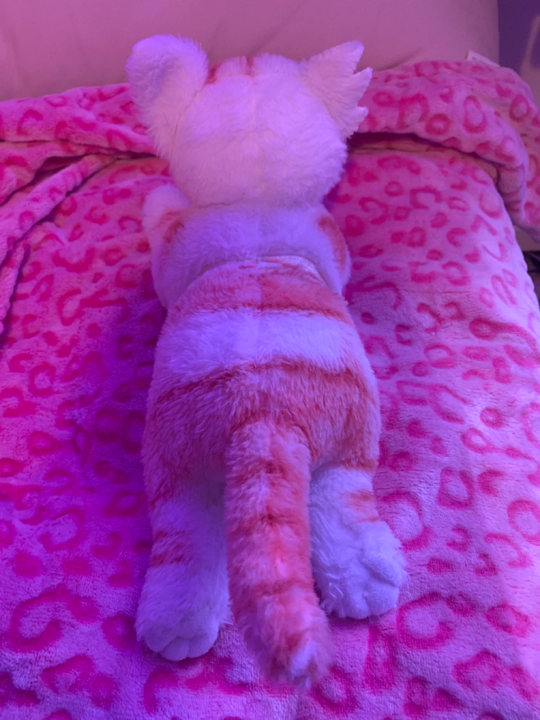 Warrior cats plush - photo 3
