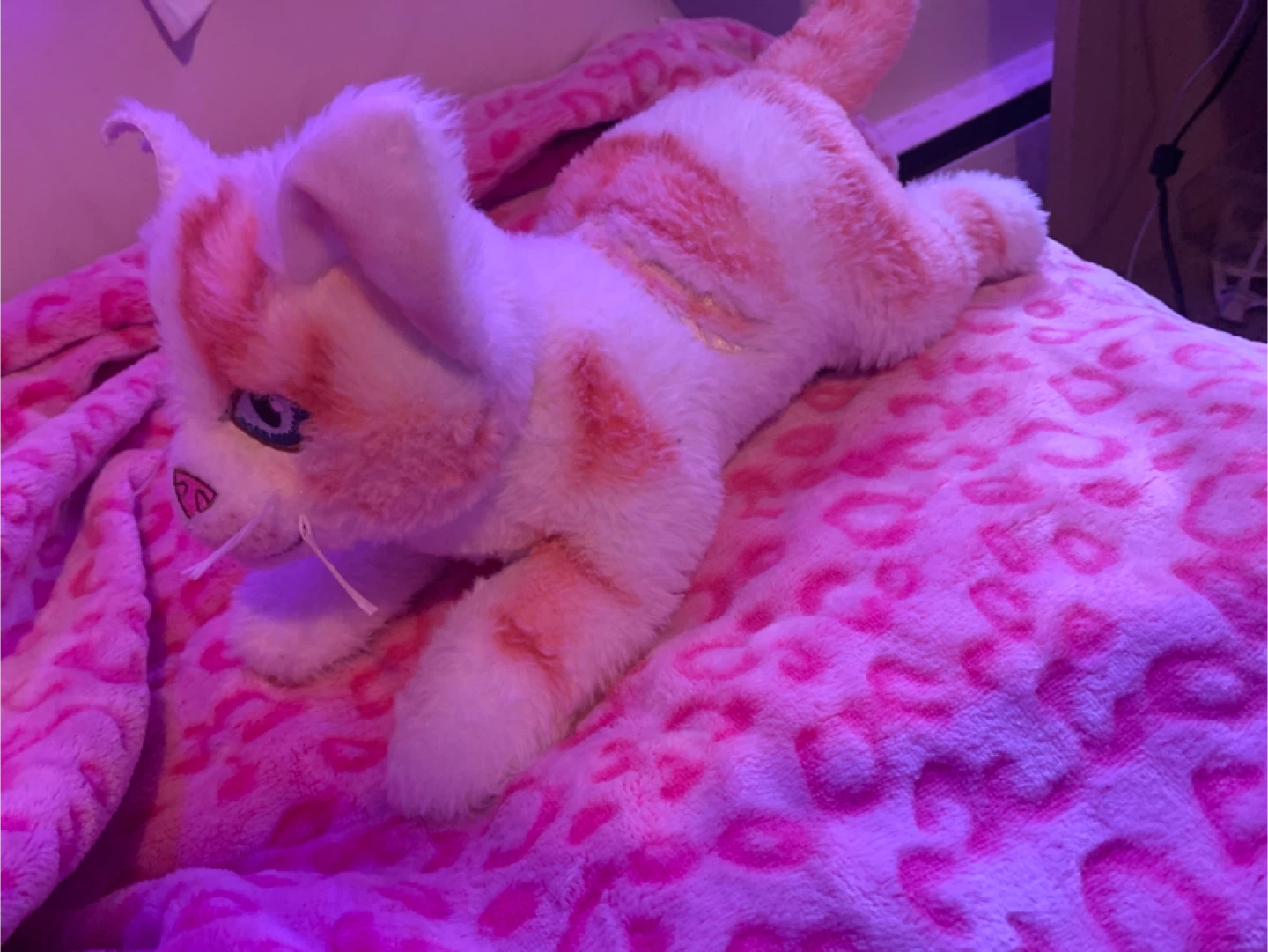 Warrior cats plush - photo 2