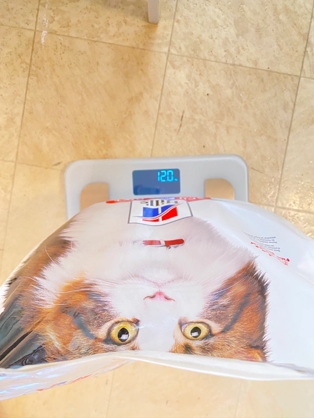 Hill's Science Diet Perfect Digestion Cat Food 12 lbs - photo 5