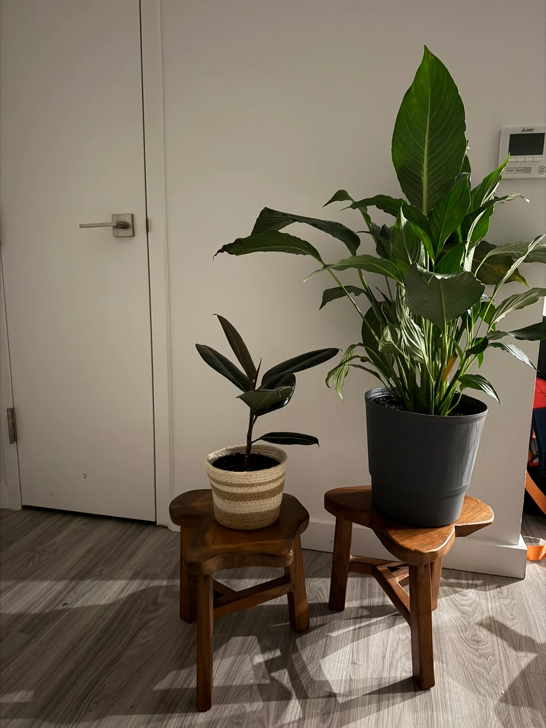 Plants on Wooden Stools - photo 2