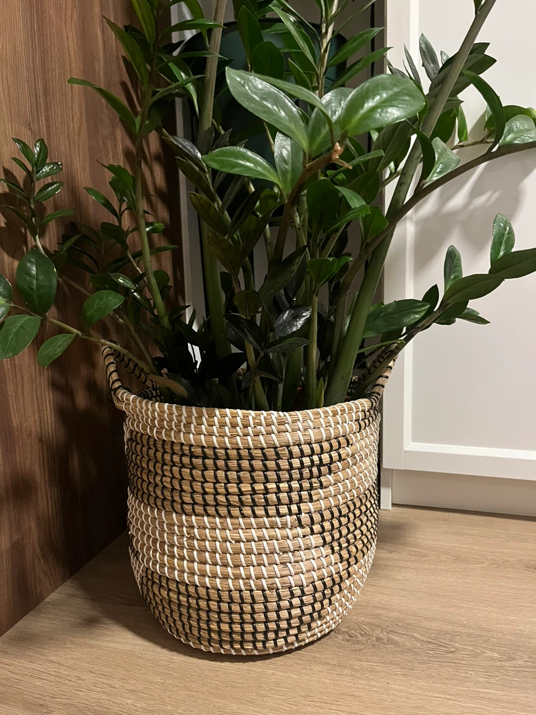 Woven Basket (plant not included)