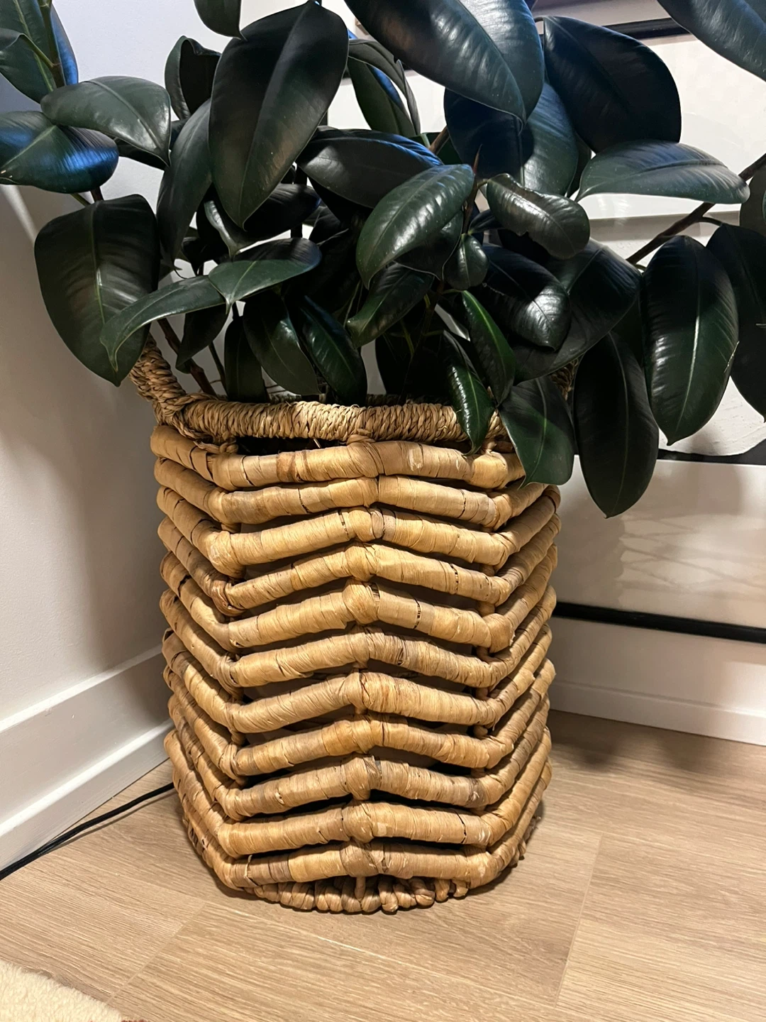 Woven Basket (plants not included)