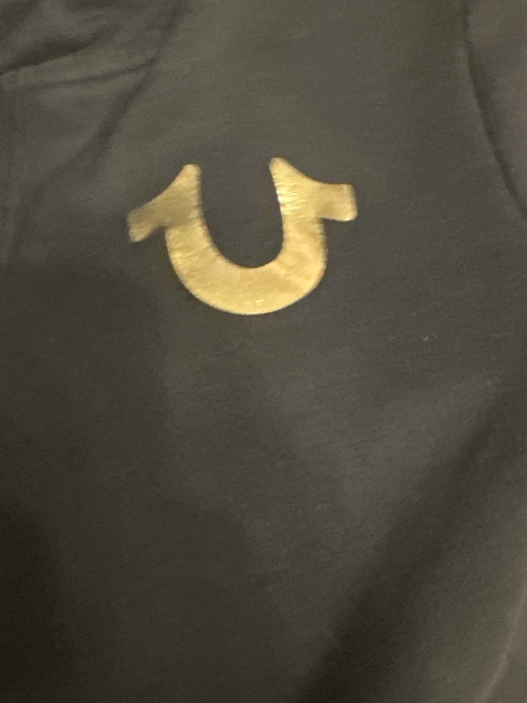 True Religion Hoodie - Navy Blue - photo 4