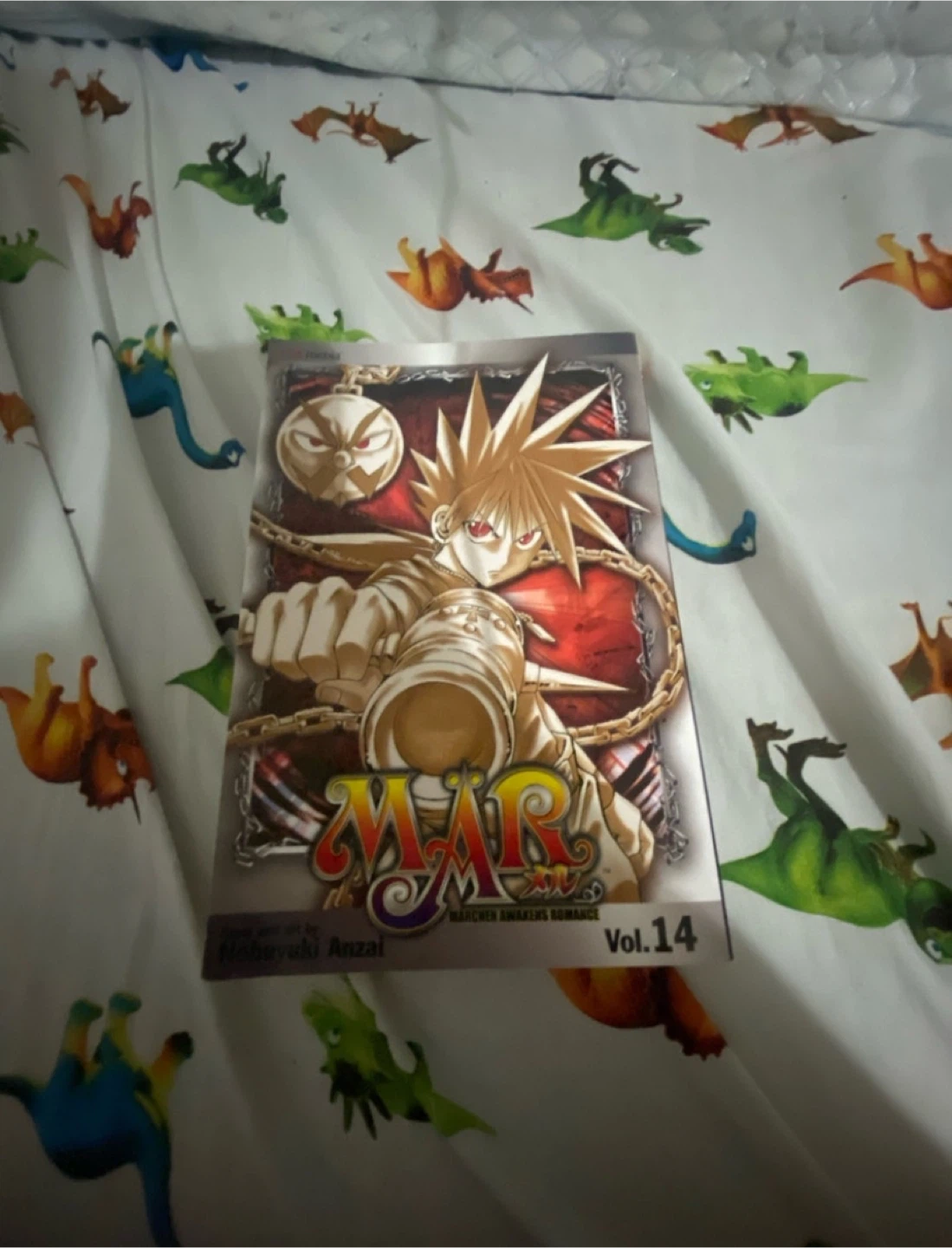 MÄR (Märchen Awakens Romance) Vol. 14