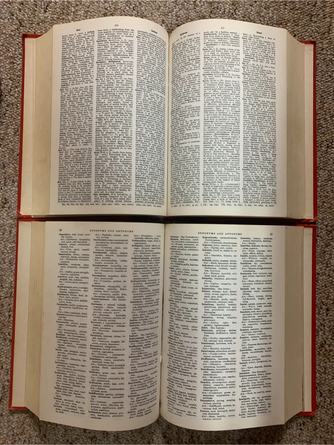 The New Webster Dictionary Set - photo 3