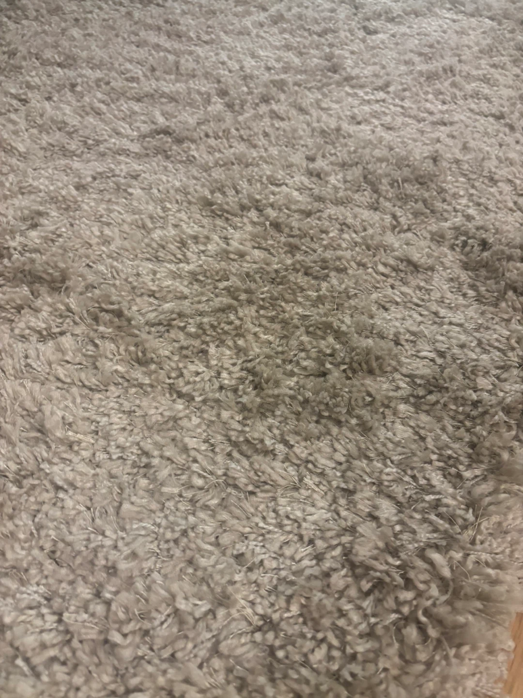 Neutral Area Rug