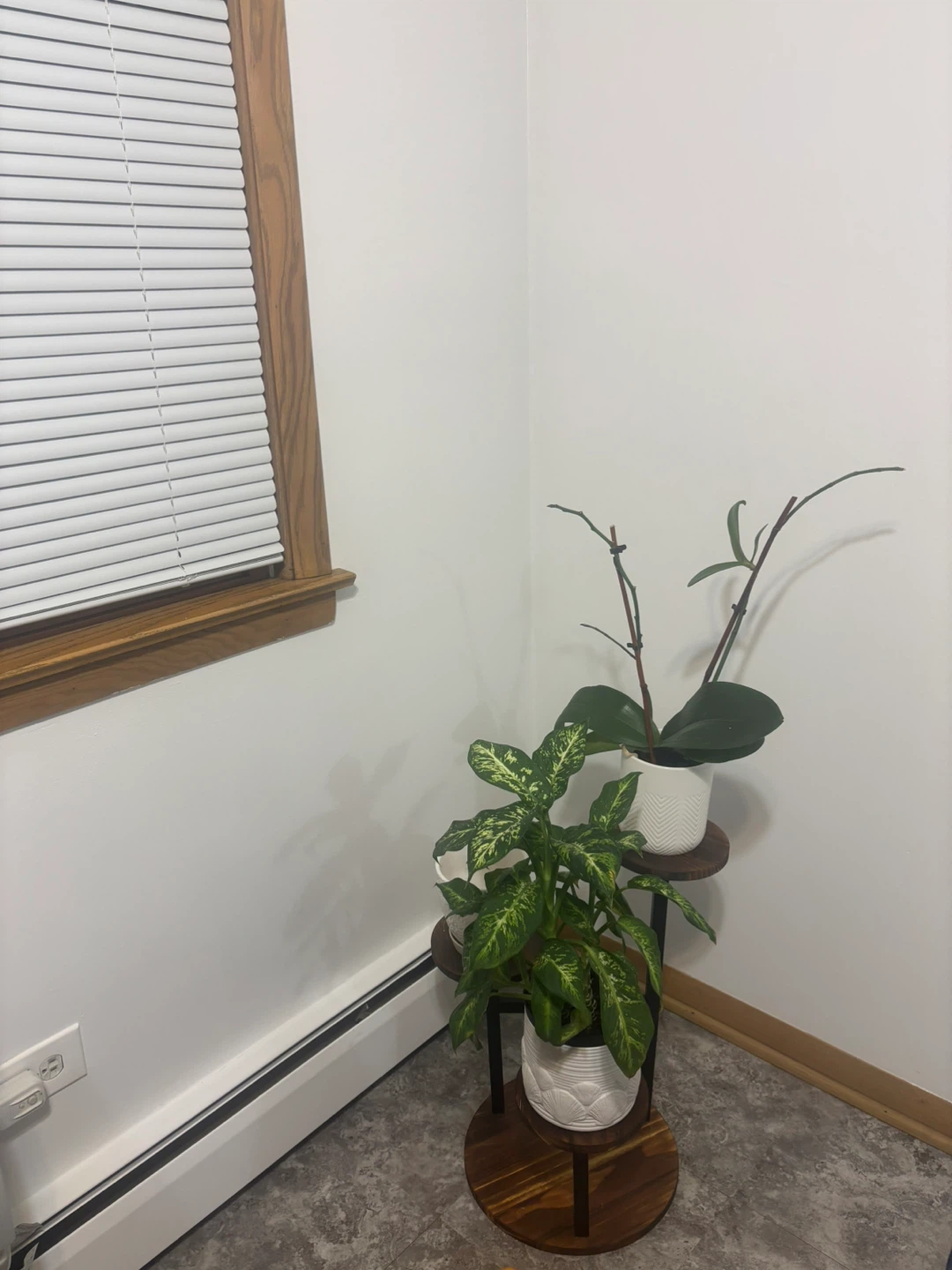 Plant Stand - 3 Tier - photo 2
