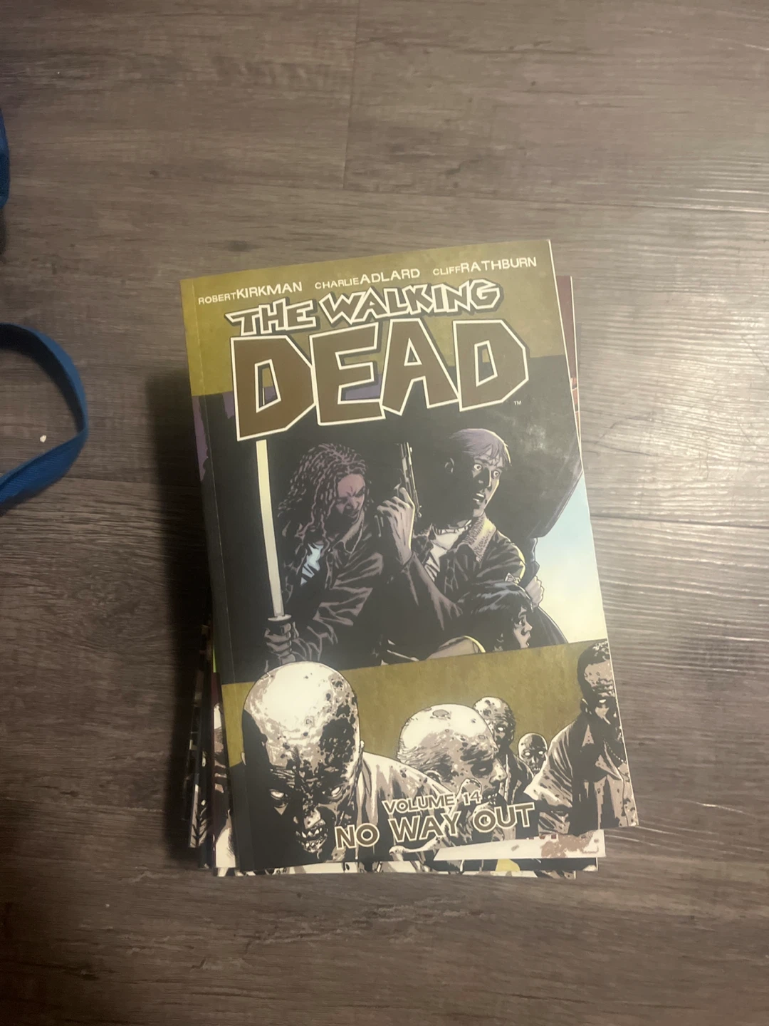 Walking dead comic series - photo 2