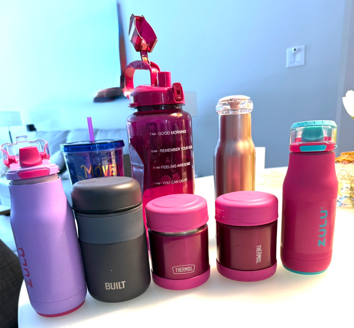 8 Assorted Kids' Water Bottles: Zulu, Built, Thermos
