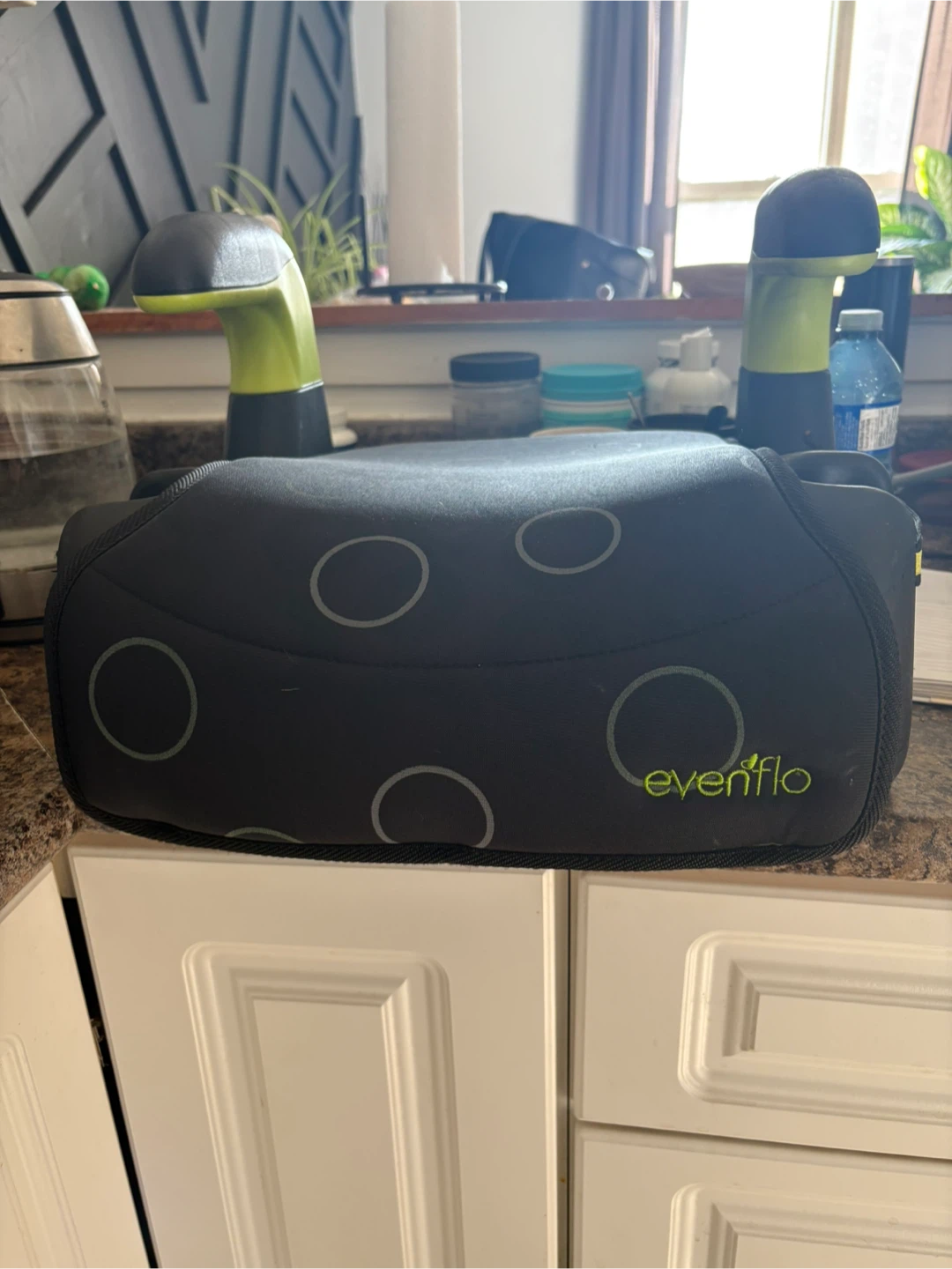 Evenflo Booster Seat