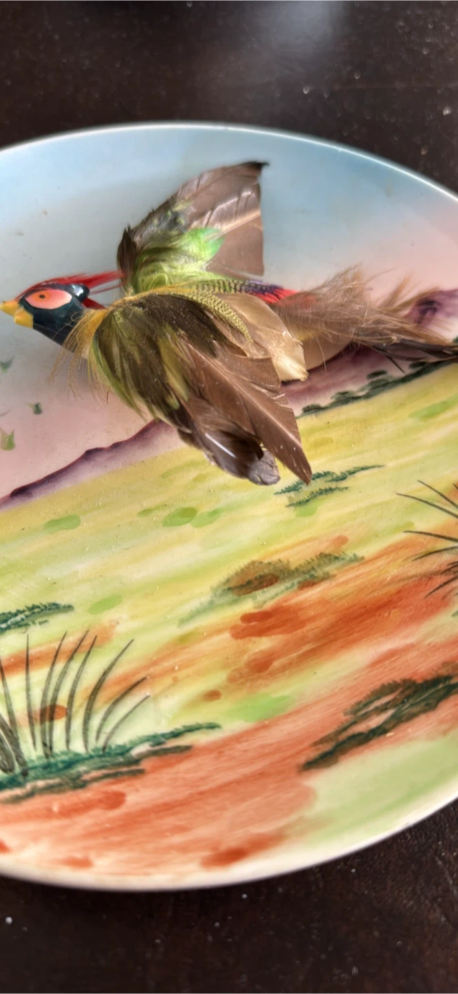 Vintage Decorate Bird/Duck Feather 2F3324 - photo 2