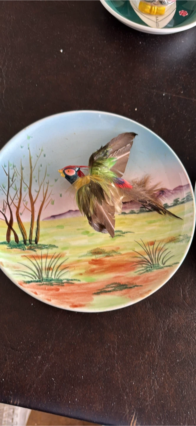 Vintage Decorate Bird/Duck Feather 2F3324
