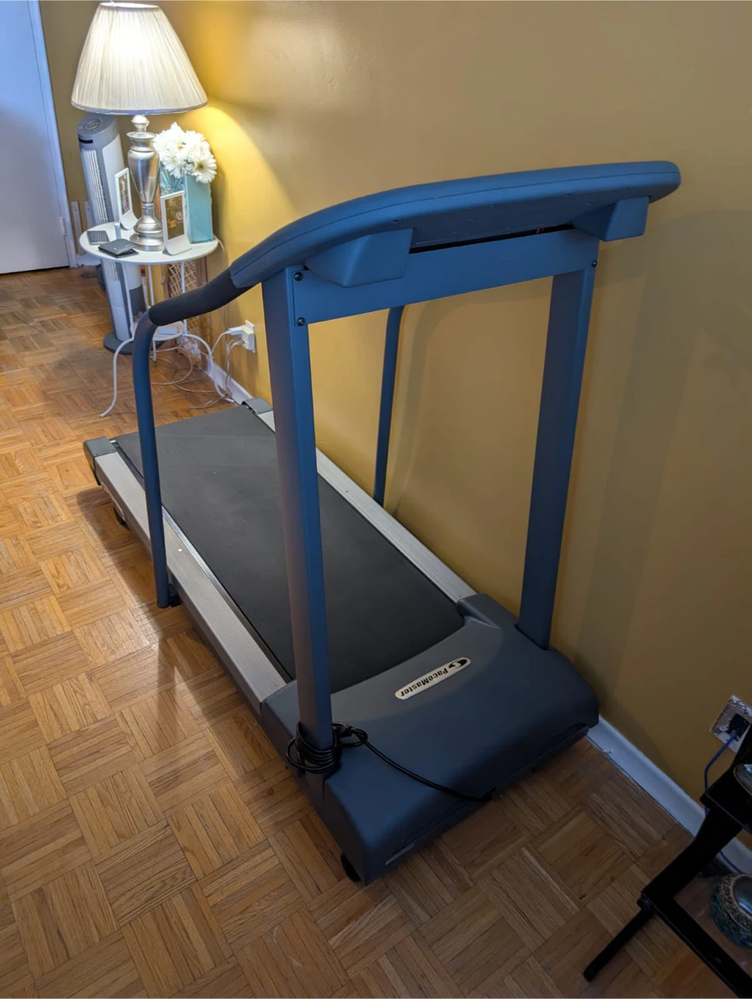 PaceMaster Bronze Basic Treadmill - photo 2