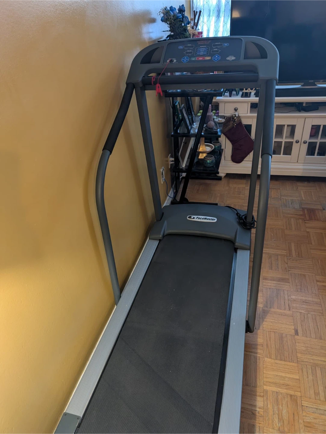 PaceMaster Bronze Basic Treadmill - photo 3