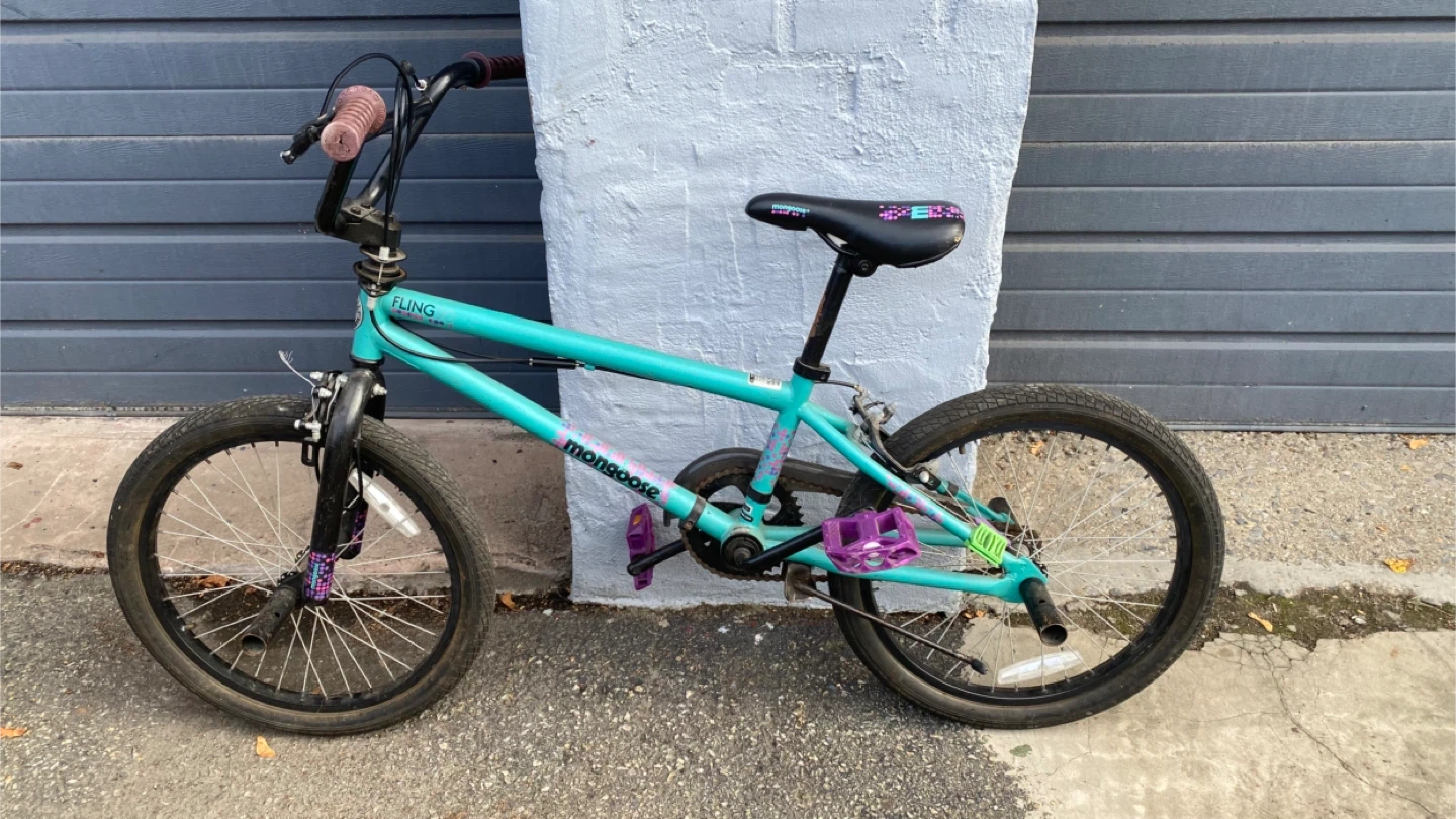Mongoose Fling 20" Bike - Turquoise