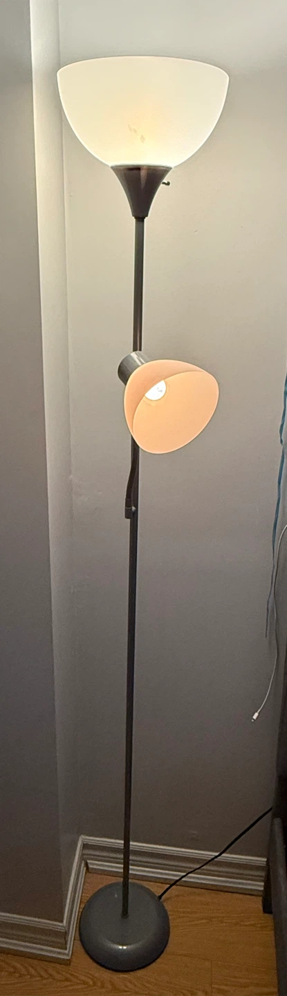 Floor Lamp with Adjustable Reading Light