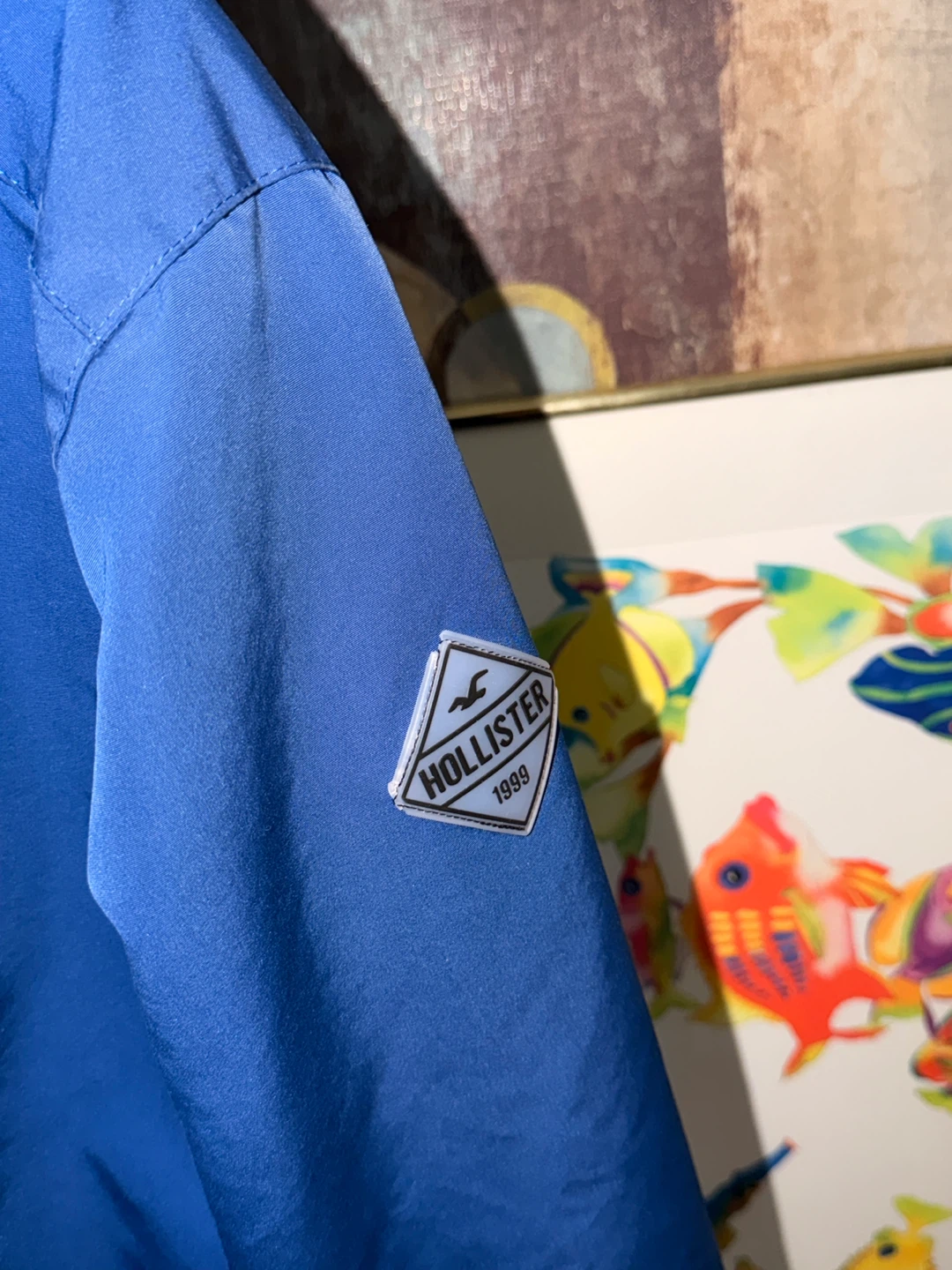 Hollister Blue Winter Jacket