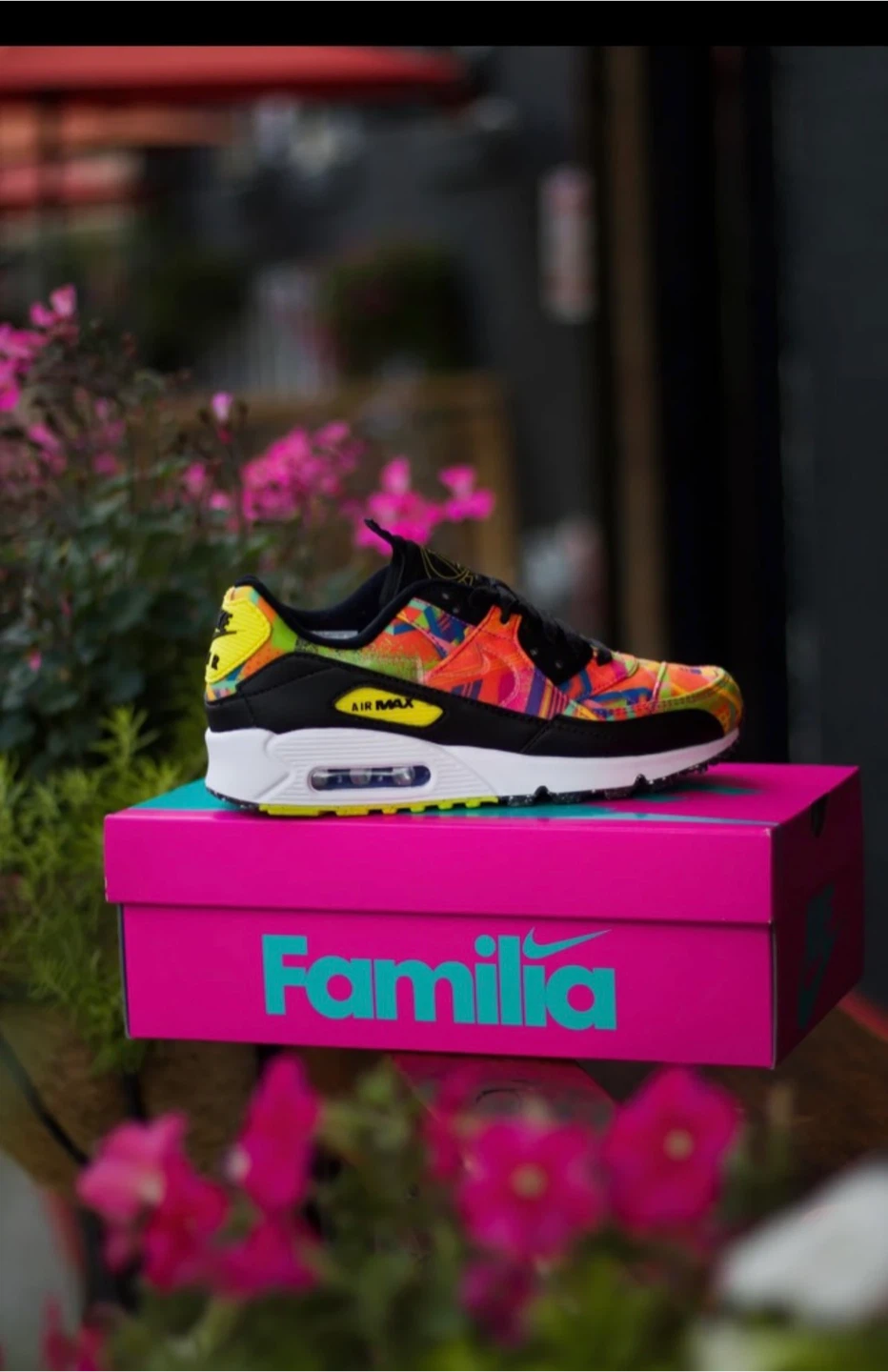 Nike Air Max 90 Familia