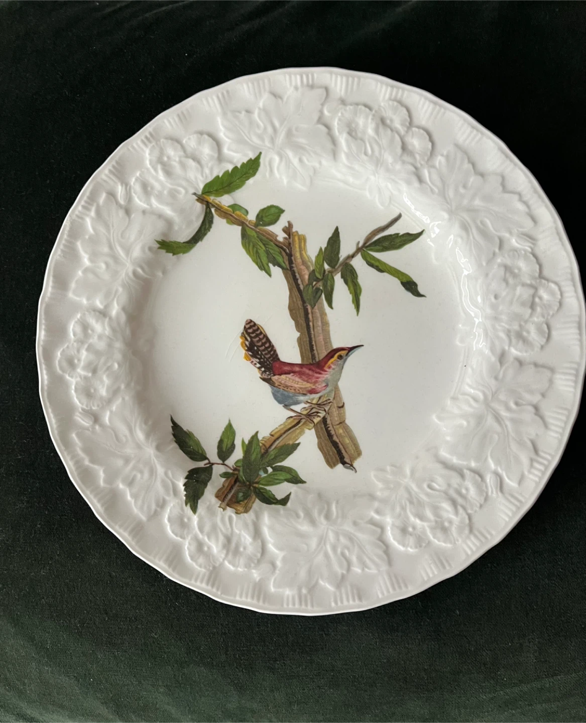 Alfred Meakin England Plate - Birds of America