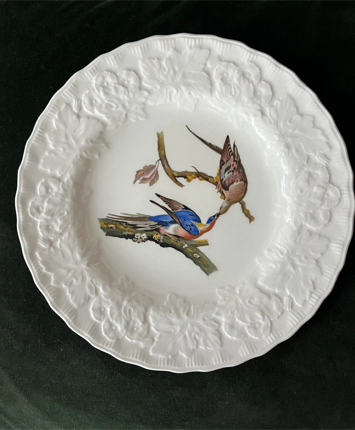 Alfred Meakin England Plate - Birds of America - photo 3