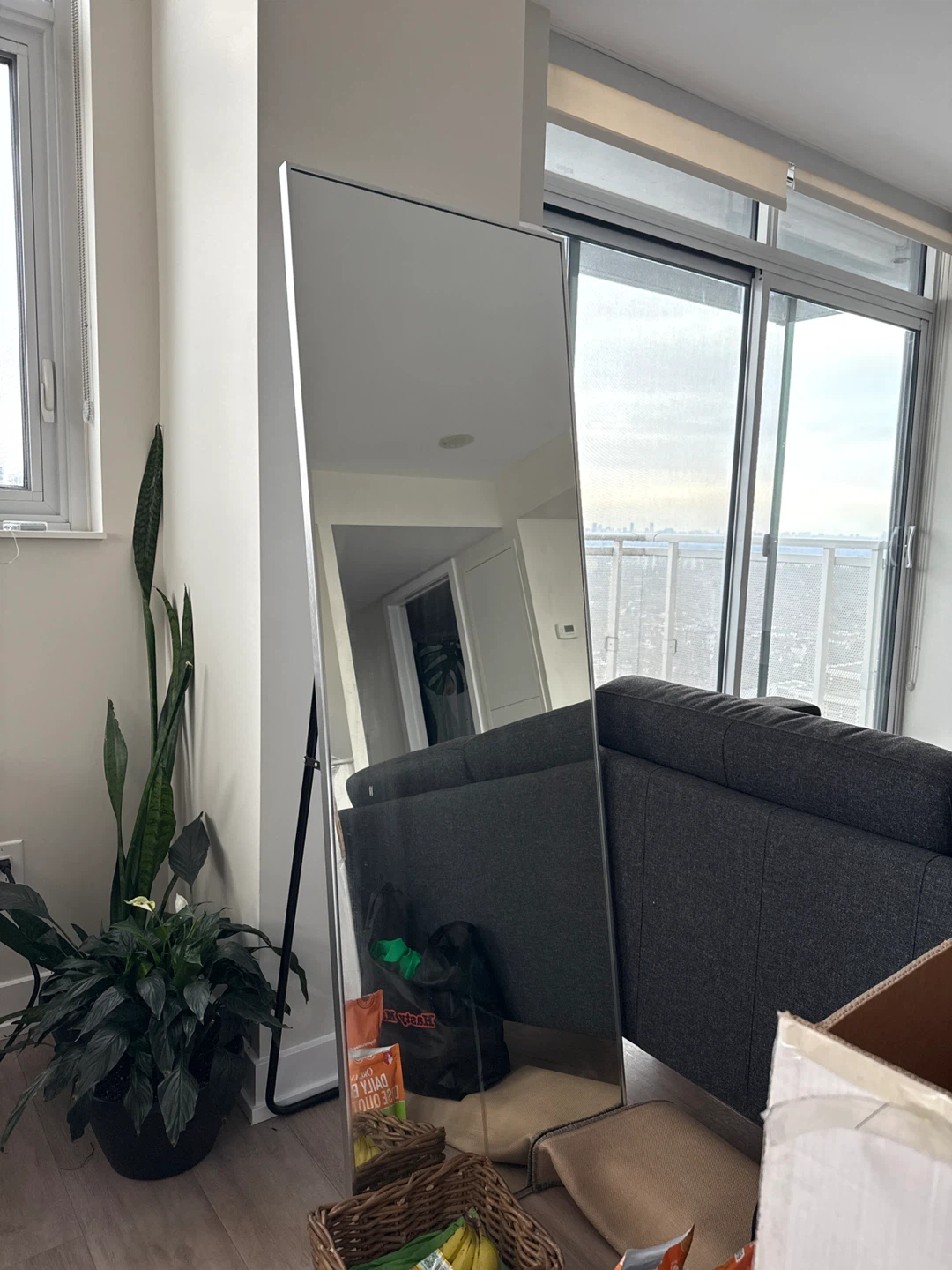 Full Length Standing Mirror