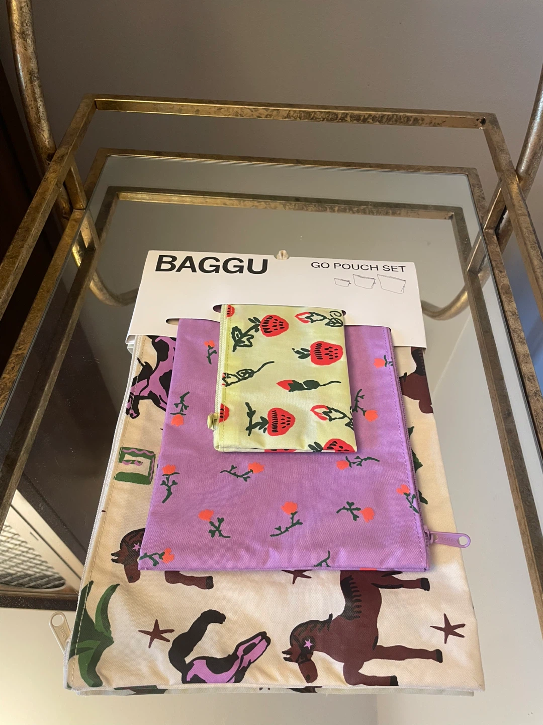 Baggu Go Pouch Set of 3 Painted Prairie NEW