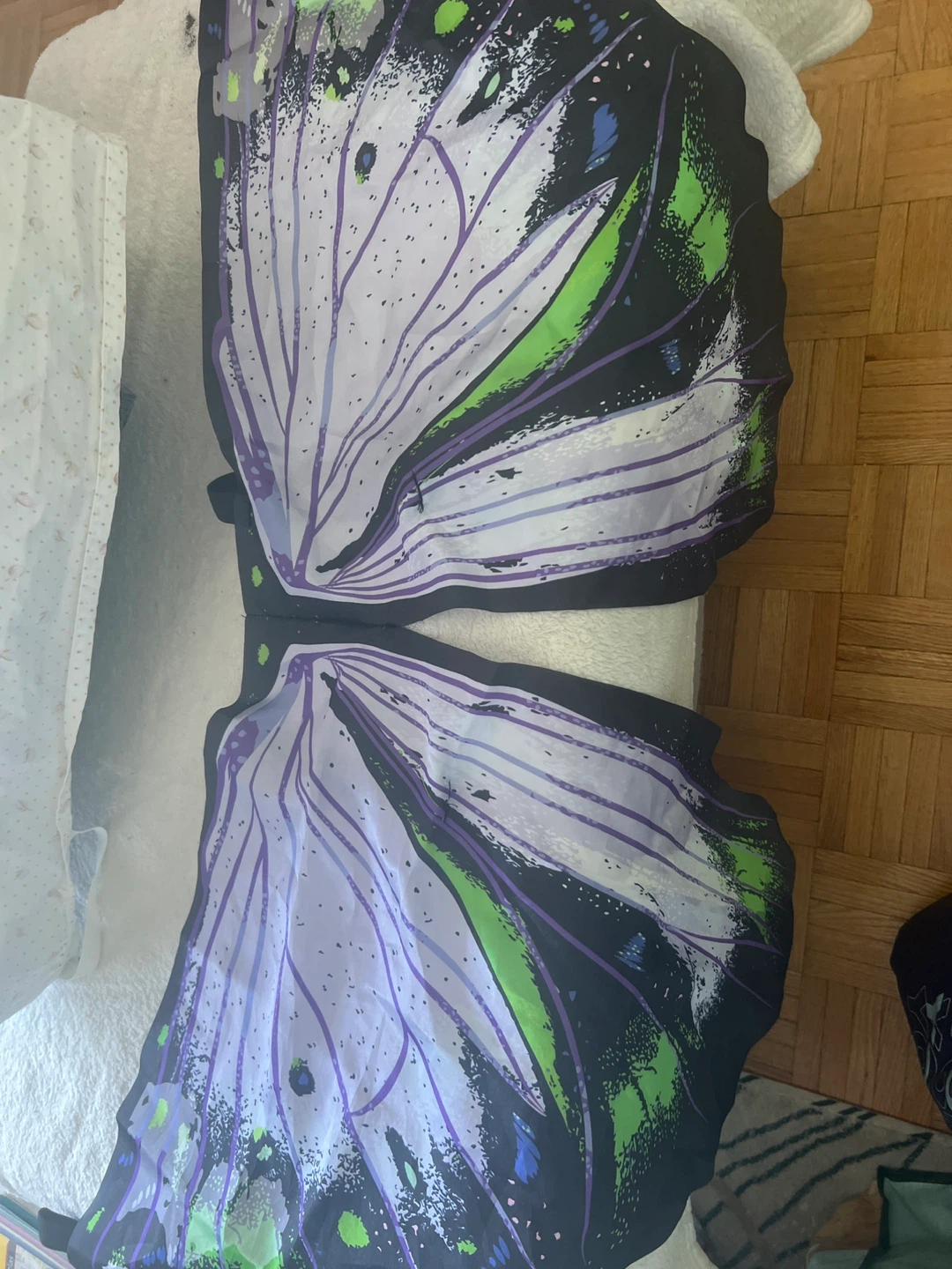 Butterfly Wing Costume