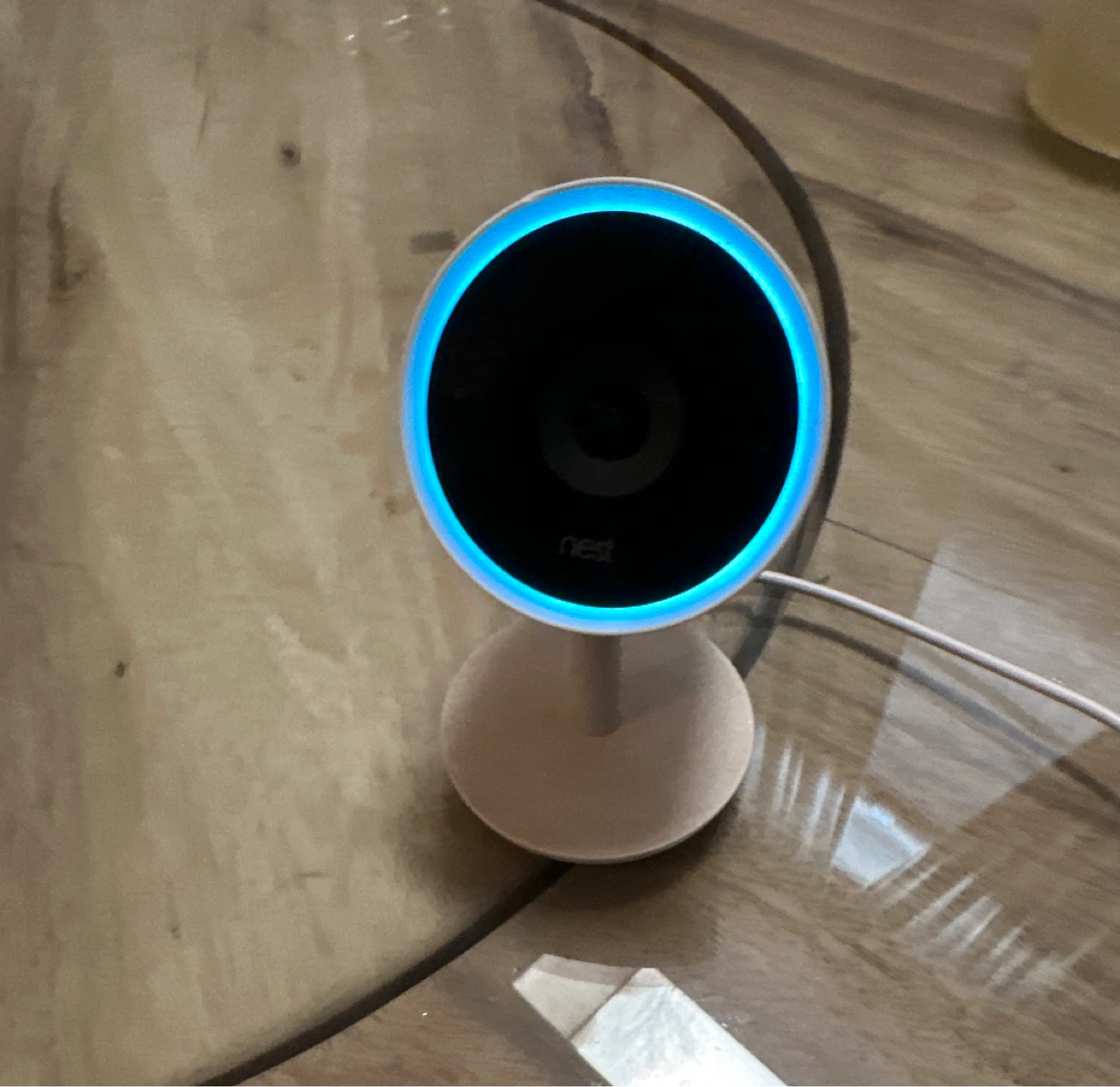 Nest IQ Security Camera