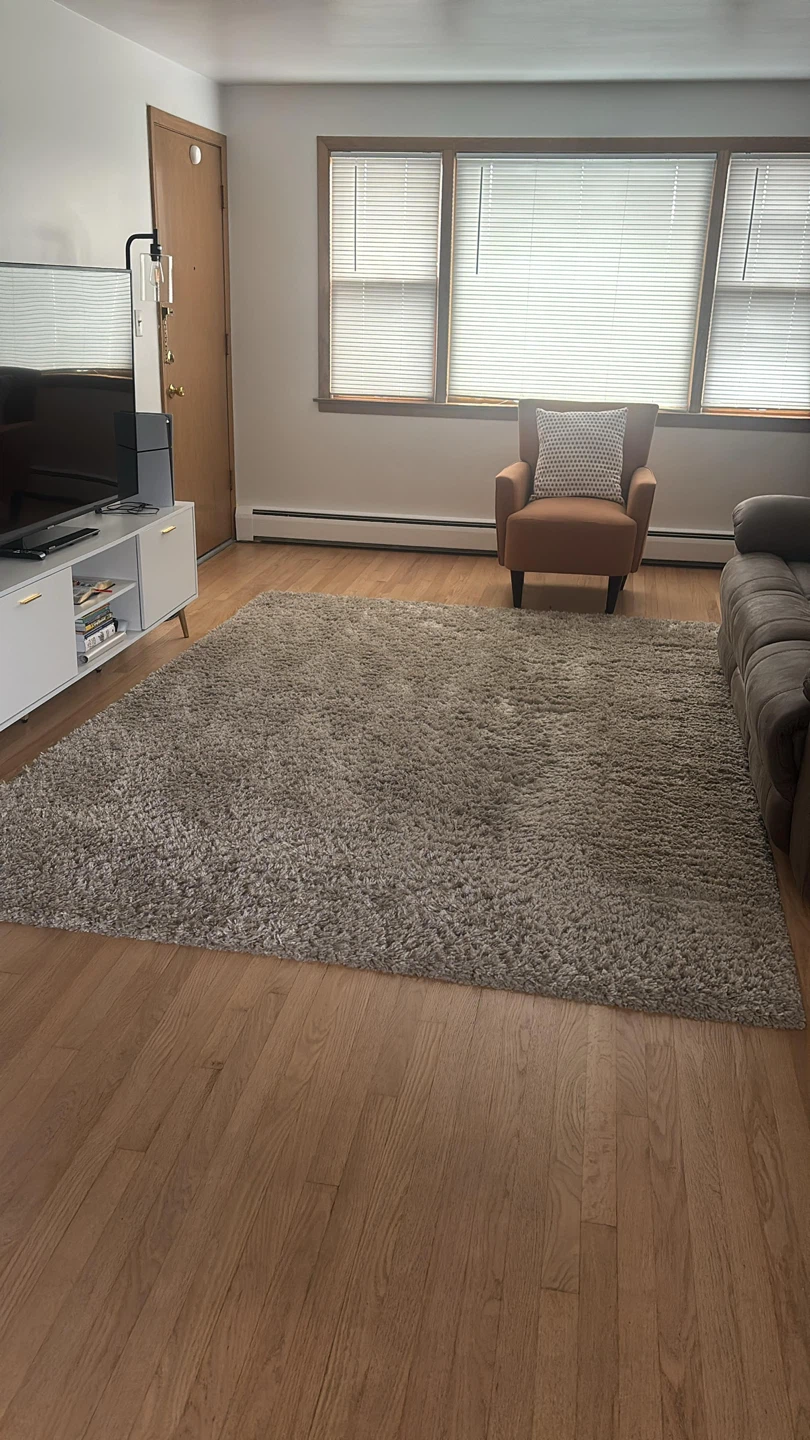 Neutral Area Rug - photo 3