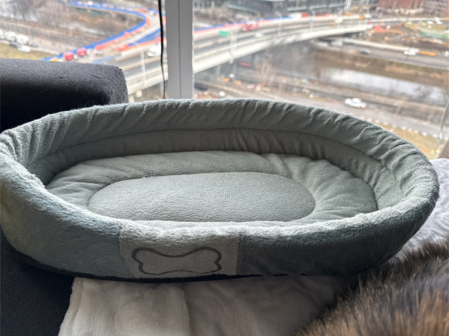 Cozy Small Pet Bed 🧡