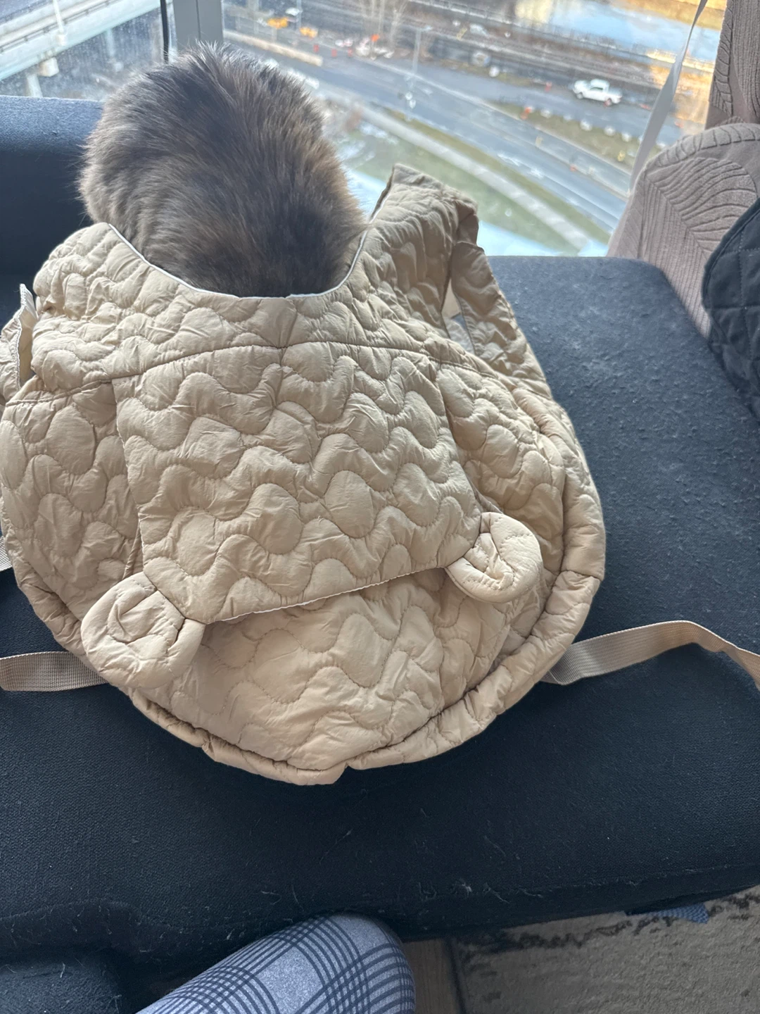 Pet Carrier Bag 🧡 - photo 2