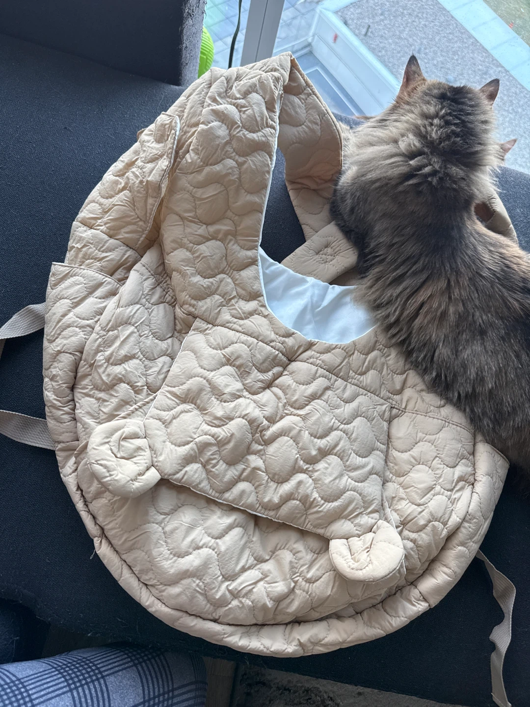Pet Carrier Bag 🧡