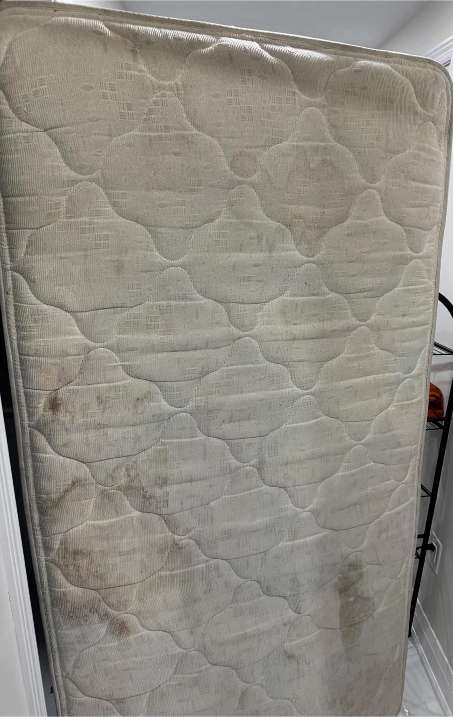 Used single Mattress- Free