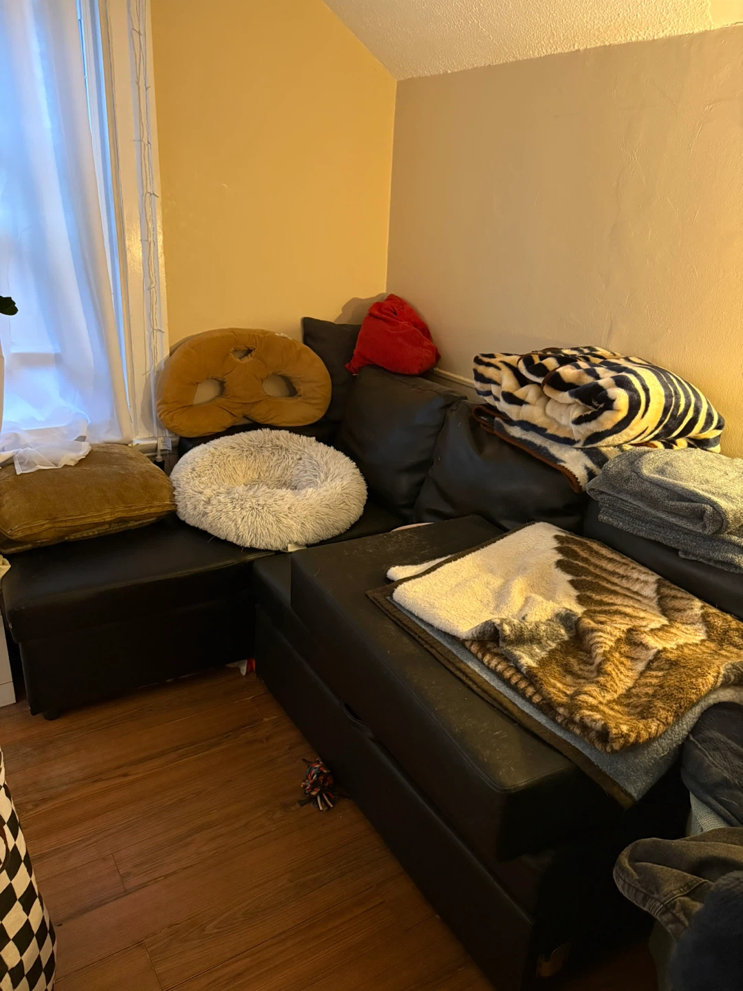 Sectional Couch
