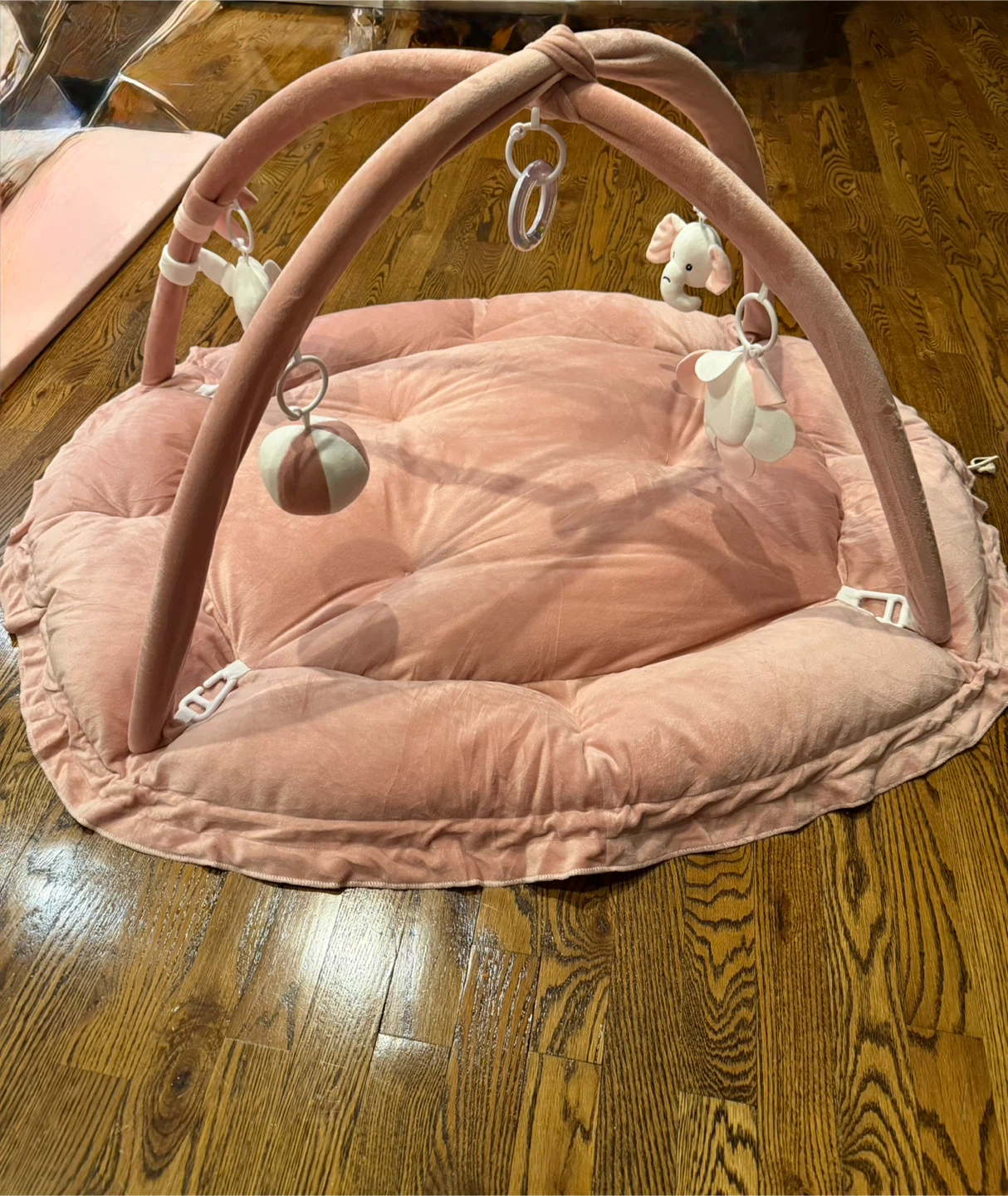 Pink Baby Activity Gym & Play Mat - photo 3