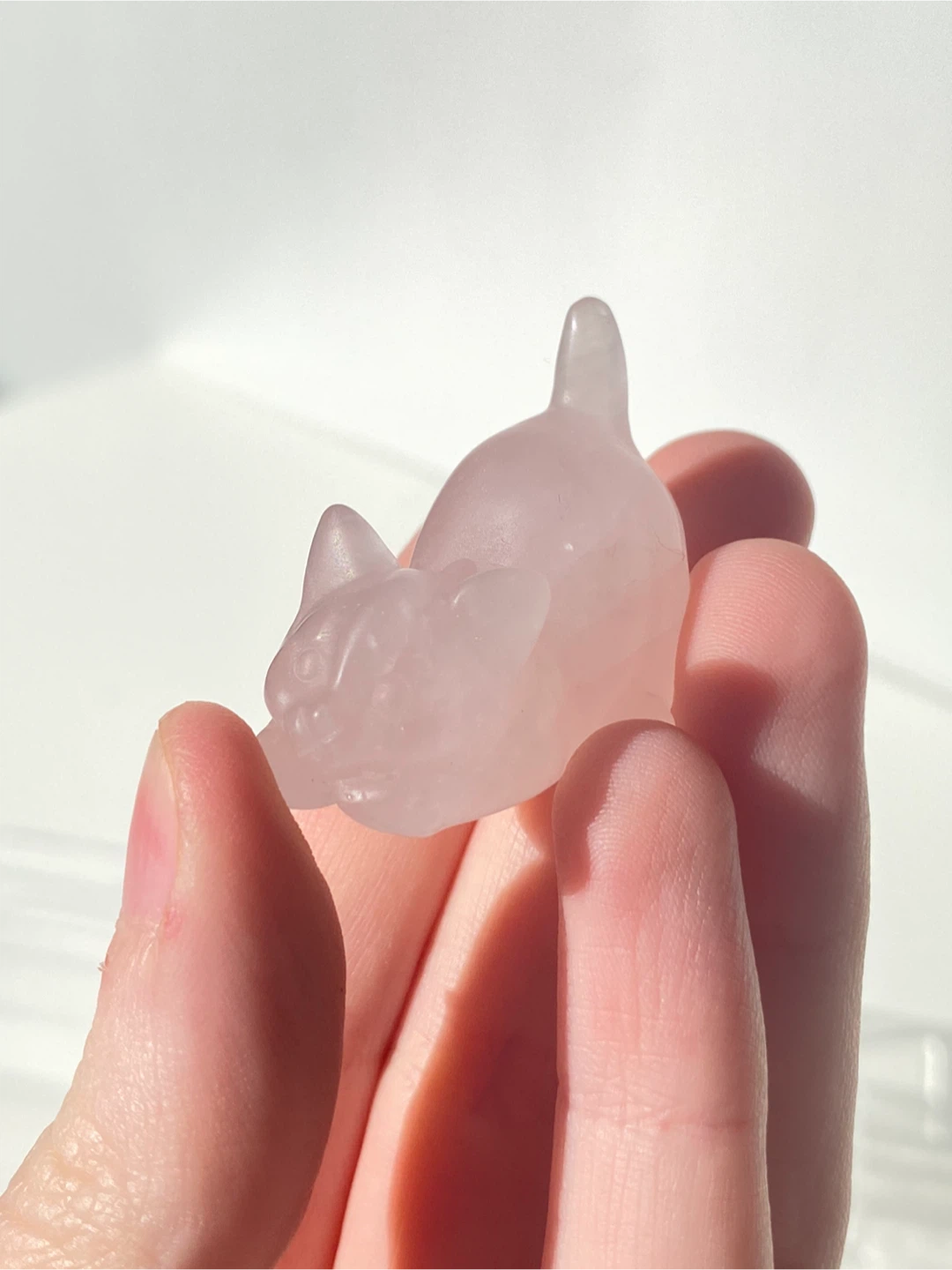 Rose Quartz cat
