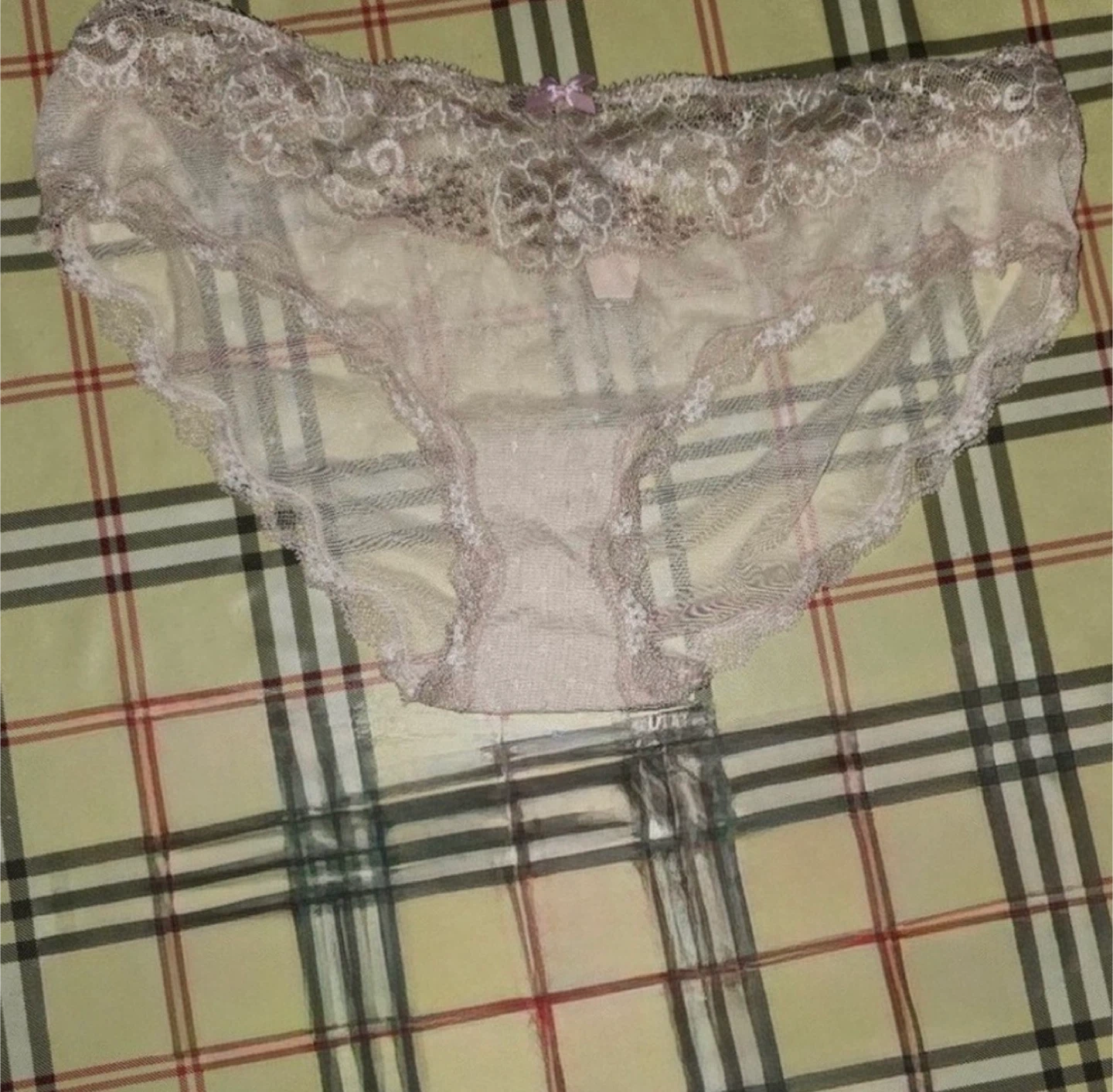 BNWT Victoria’s Secret Sheer & Lace Light Pale Pink Panties - photo 2