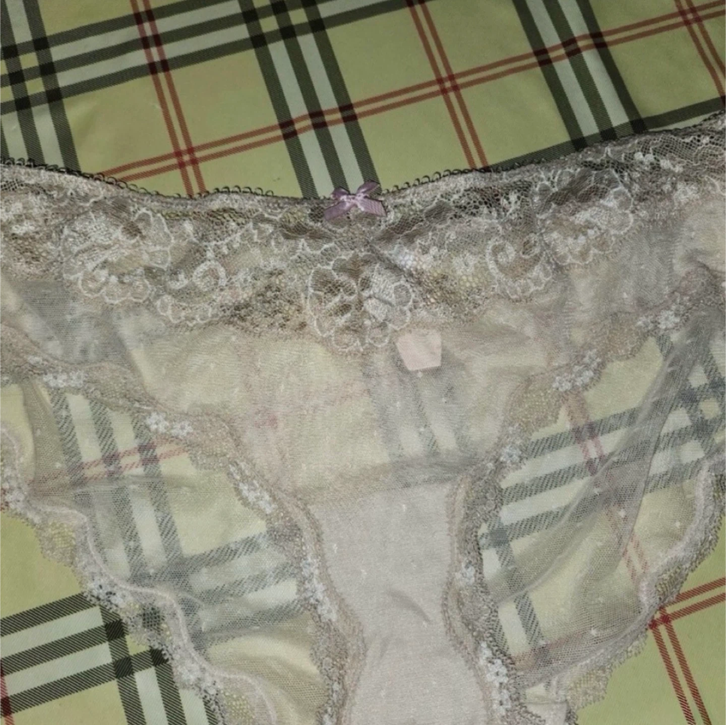 BNWT Victoria’s Secret Sheer & Lace Light Pale Pink Panties - photo 3