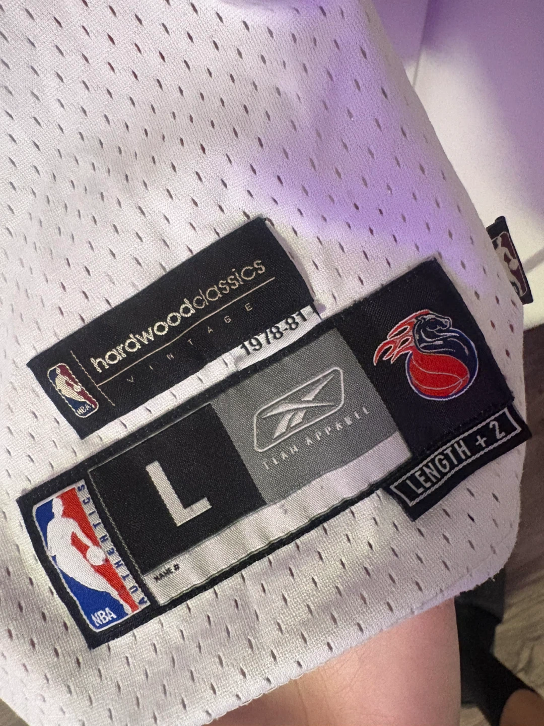 Reebok Detroit Pistons Hamilton Jersey Size L - photo 3