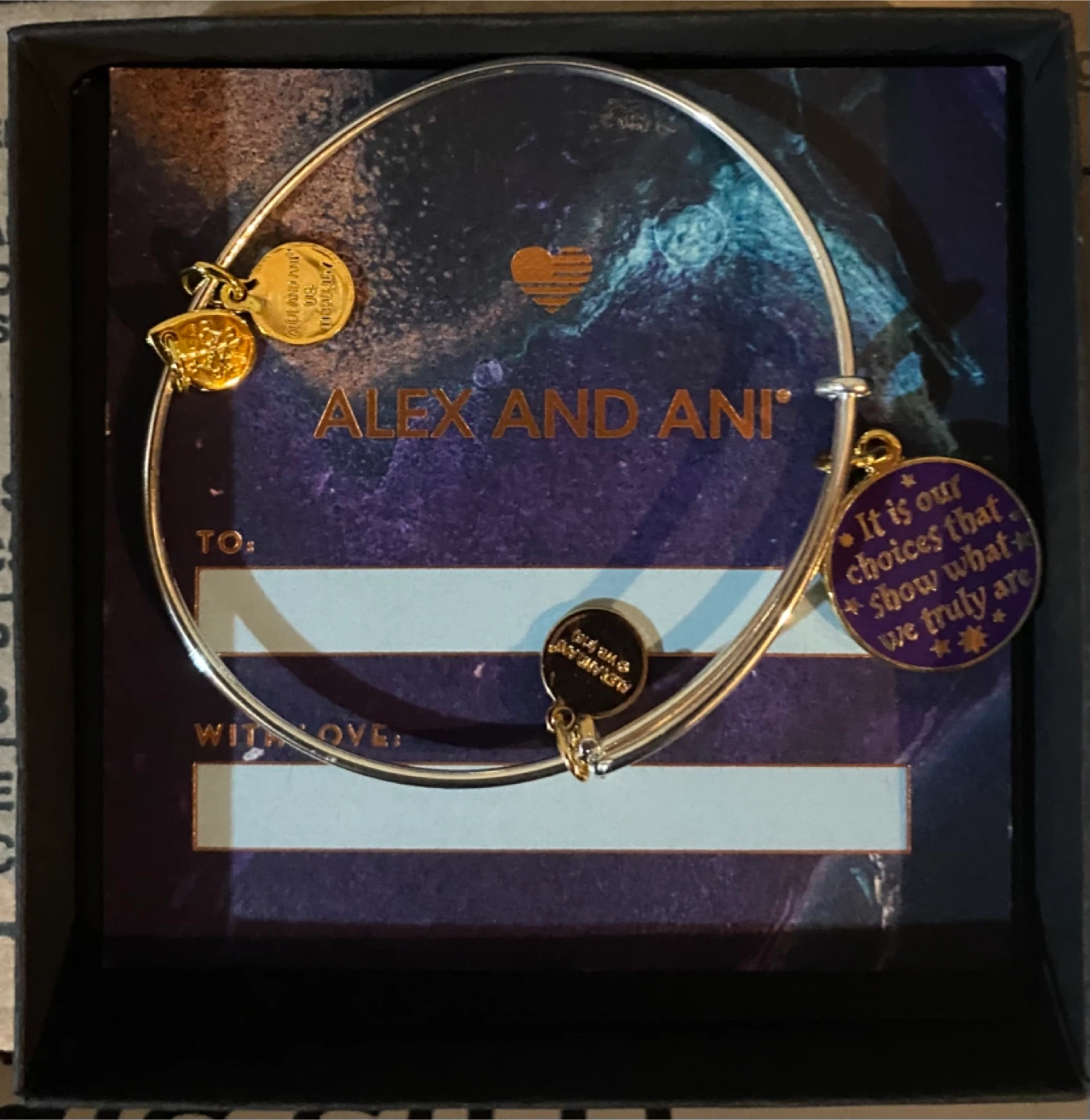 Alex and Ani Bangle Bracelet