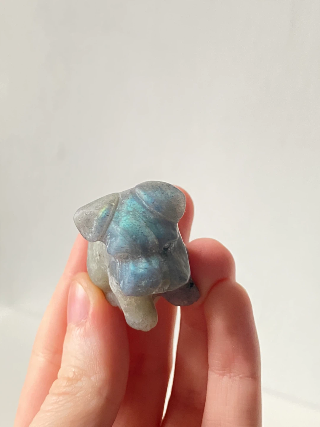 Schnauzer Crystal Dog - photo 2