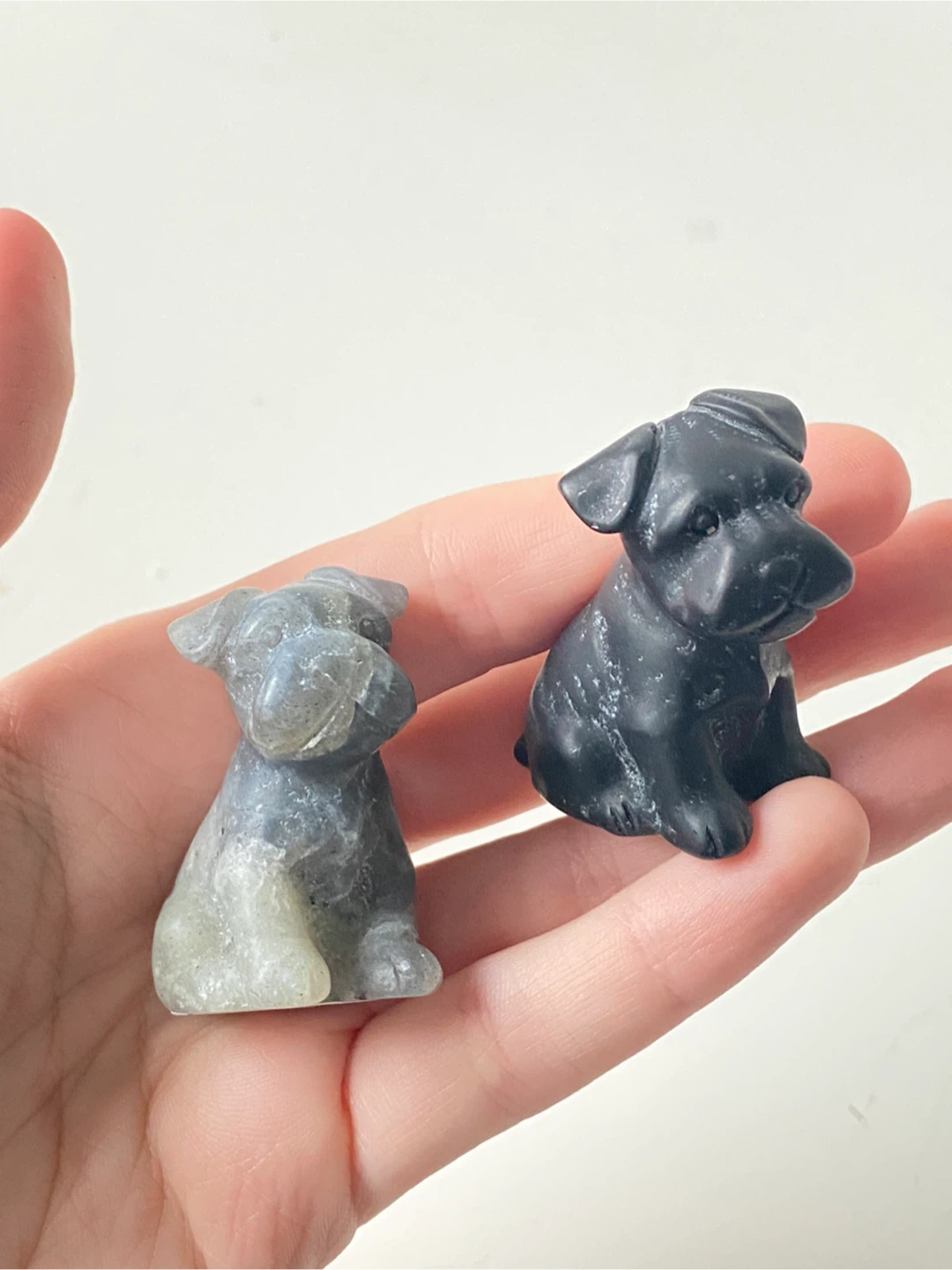 Schnauzer Crystal Dog - photo 4