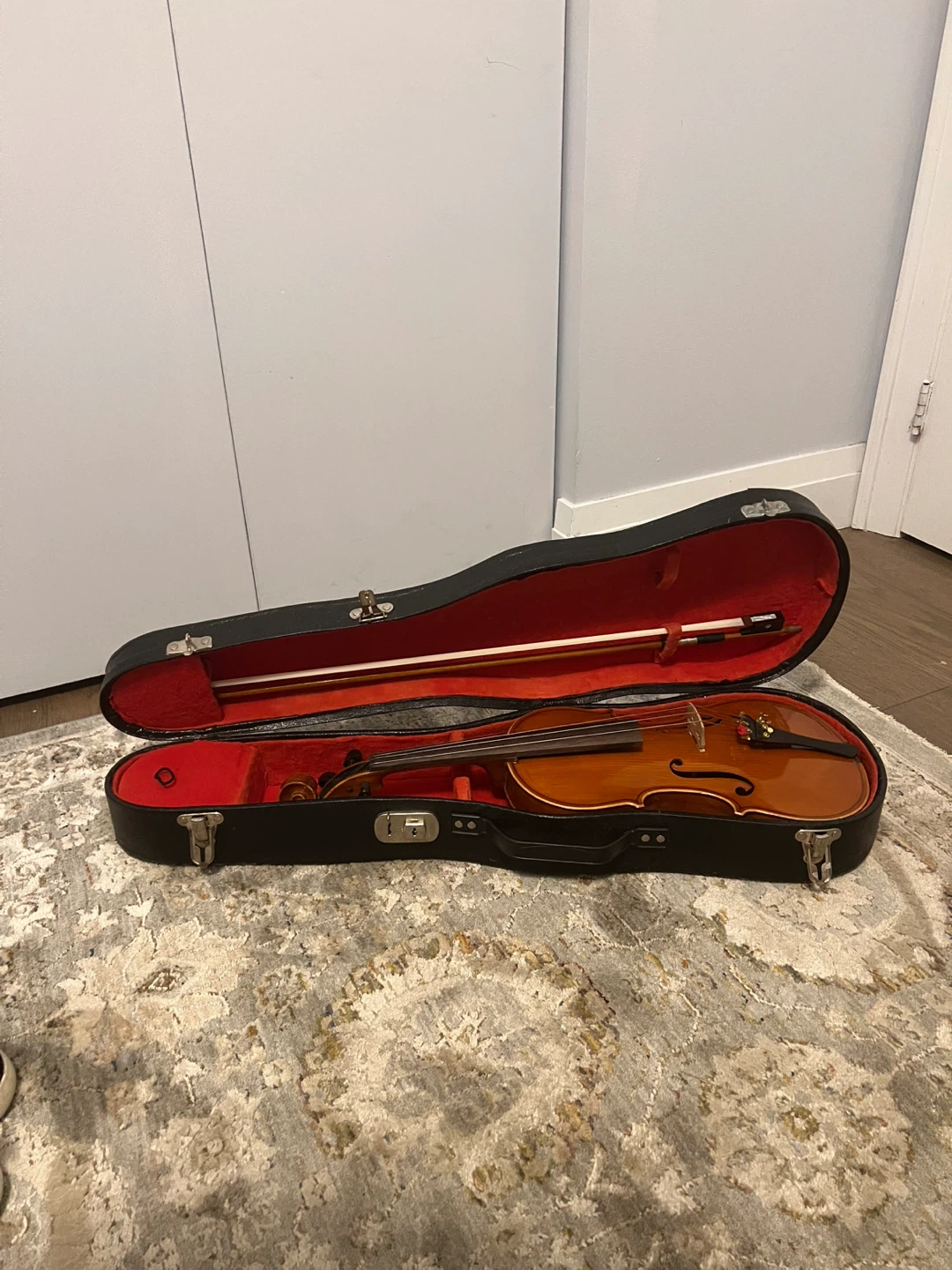 Violin with Case