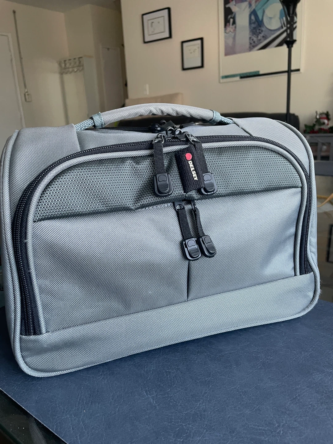 Delsey Grey Travel Bag