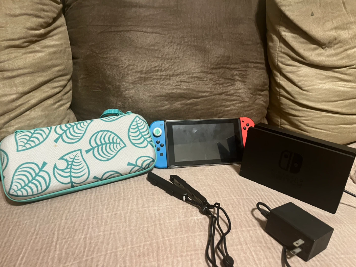 Nintendo Switch w/ Dock, Charger, Animal Crossing Case