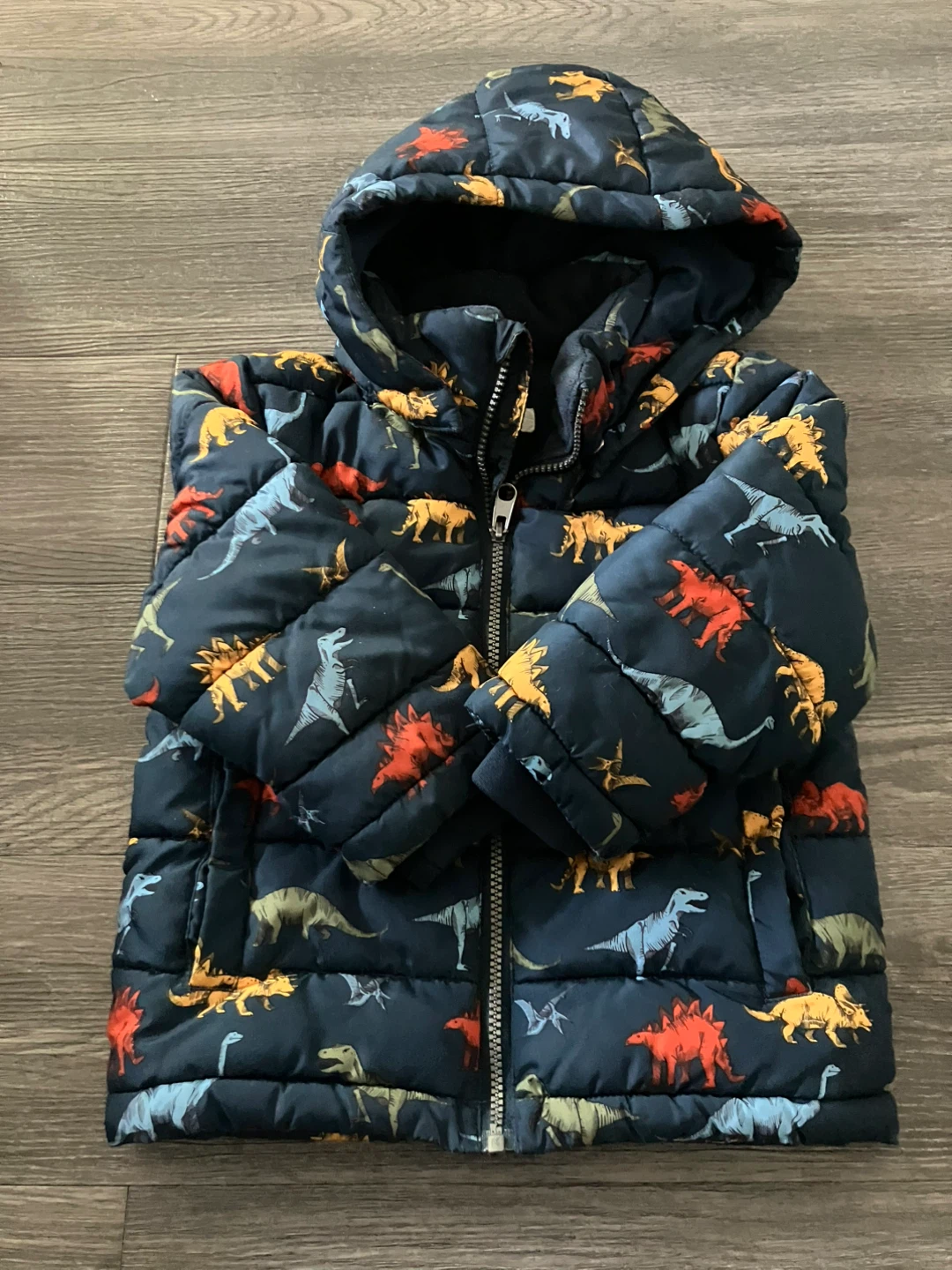 H&M Dinosaur Puffer Jacket, Size 2-3Y
