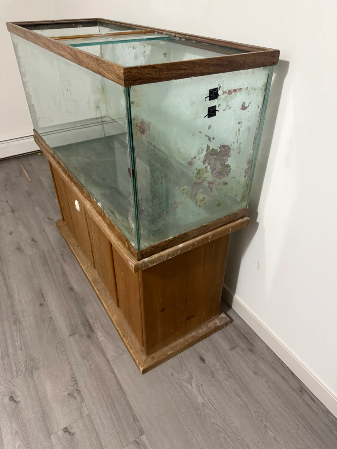 Used Fish Tank with Wooden Stand