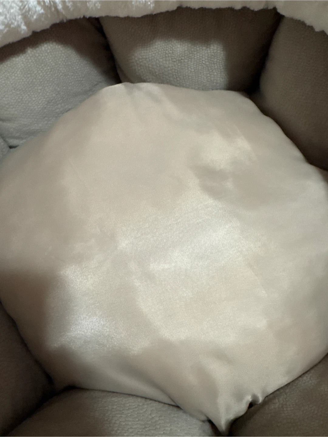 OrthoComfort Pet Bed - photo 4