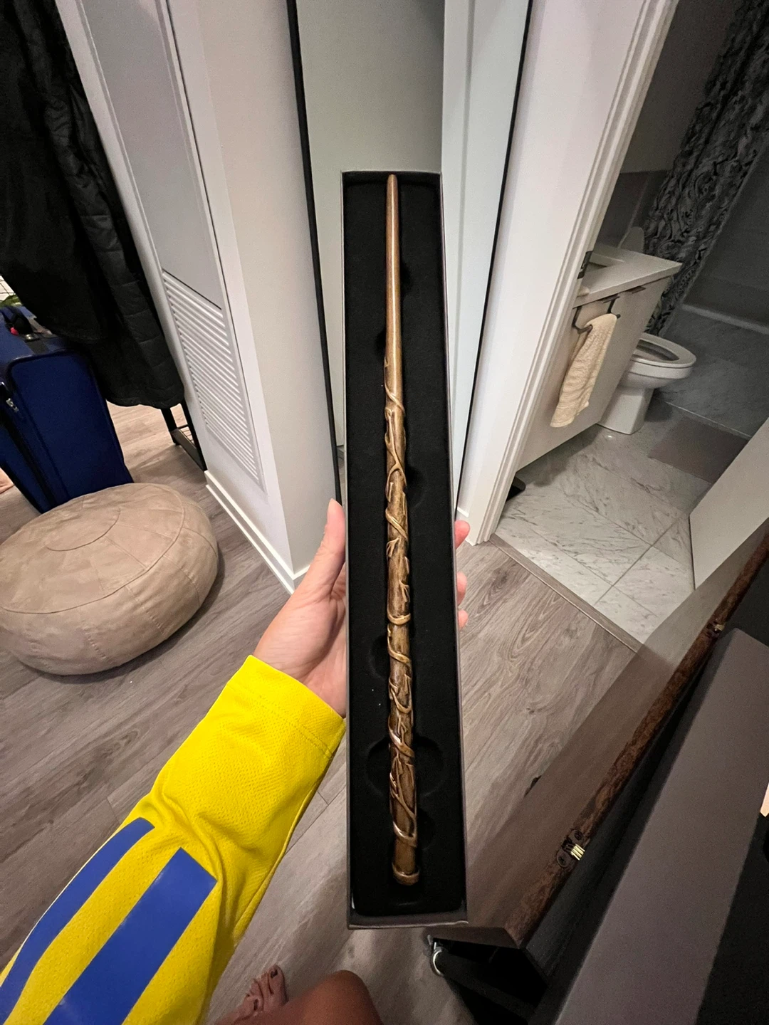 Harry Potter Wand with Box