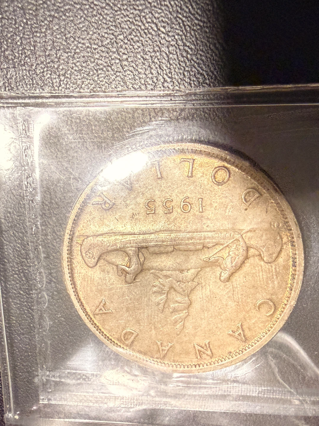 1955 Canadian Silver Dollar Coin ICCS MS63 - photo 5